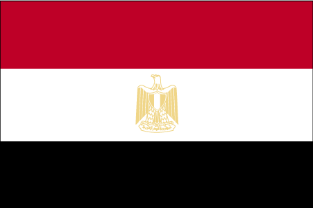 Package Shipping from to Egypt