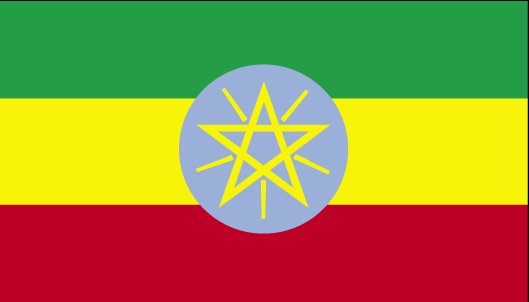 Package Shipping from to Ethiopia