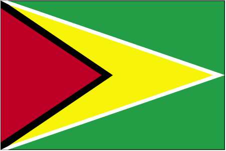 Package Shipping from to Guyana