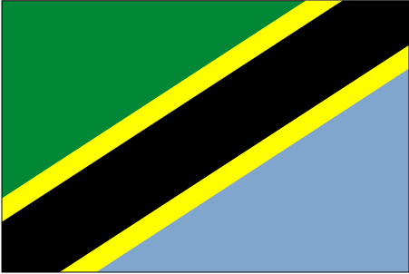 Package Shipping from to Tanzania
