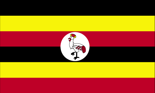 Package Shipping from to Uganda
